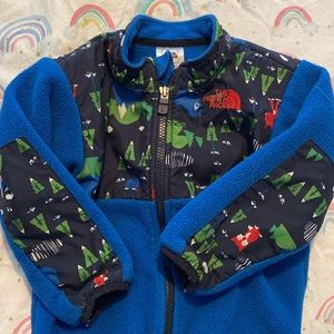 North Face Denali Fleece jacket